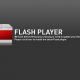 Adobe Flash Player náhled
