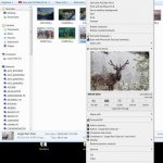 ACDSee picaview