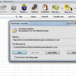 Internet Download Manager ukázka