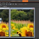 paint shop pro magic fill funkce